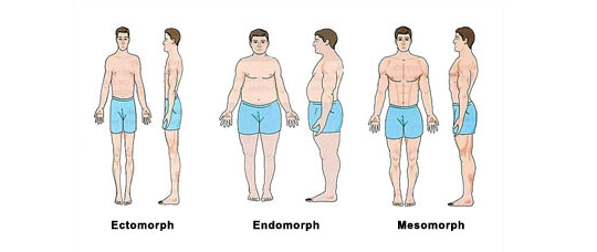 Endomorfik, ektomorfik czy mezomorfik? Jakim typem budowy jesteś?