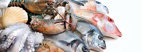 Obawy dotyczące zawartości rtęci w rybach morskich